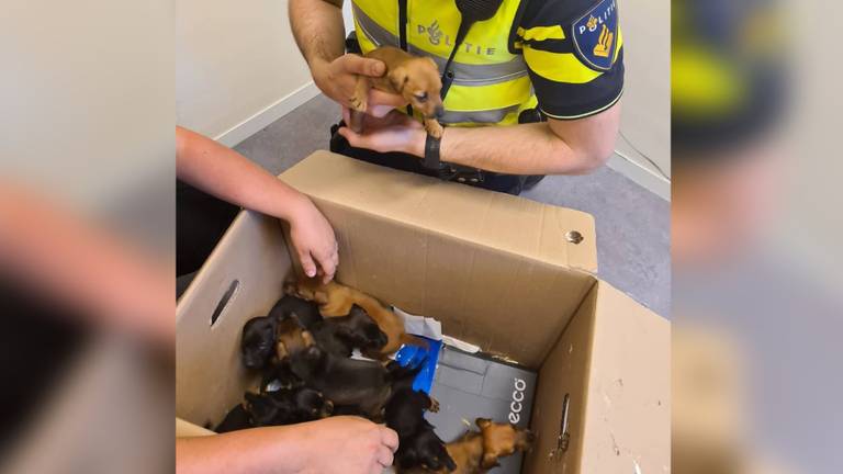 Foto: Facebook politie Heusden