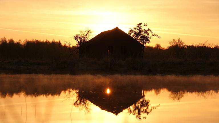 Omroep Brabant