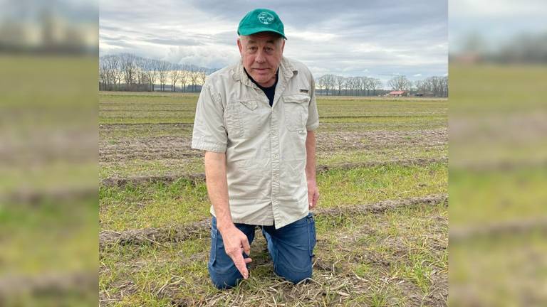 Gerard van den Heuvel op de plek waar het eerste kievitsei werd gevonden (foto Brabants Landschap).