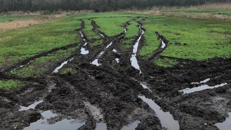 Bandensporen van wildcrossers (foto: Erik Schram).