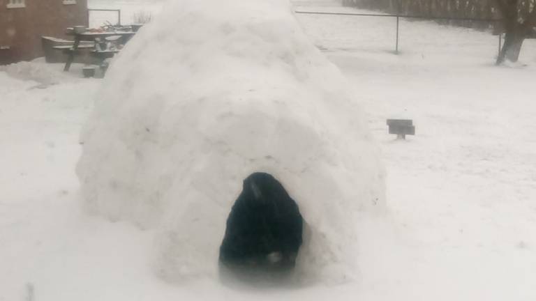 Een iglo in de tuin bij Wilma (foto: Wilma van de Broek) 