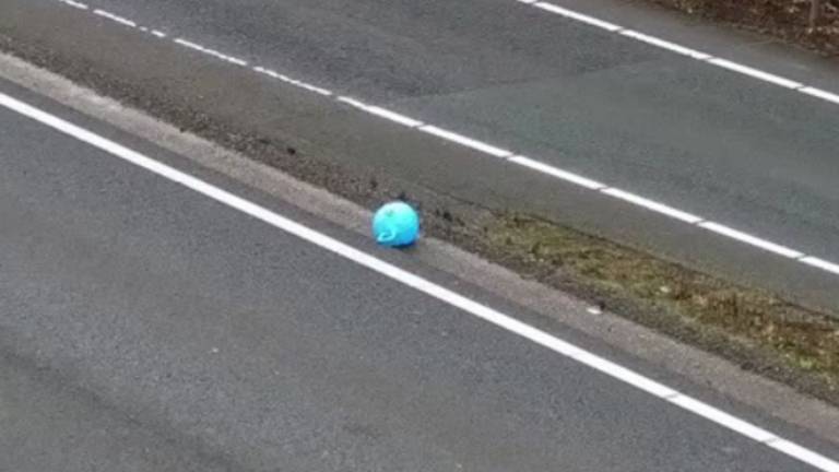 Bijzonder vervoersmiddel langs de weg: 'Ballen verstand van' (foto: Rijkswaterstaat).