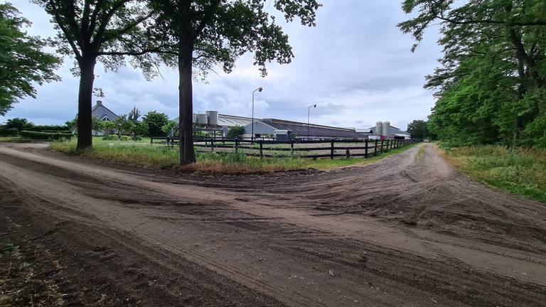 Een nertsenfokkerij in Landhorst (foto: Noël van Hooft).