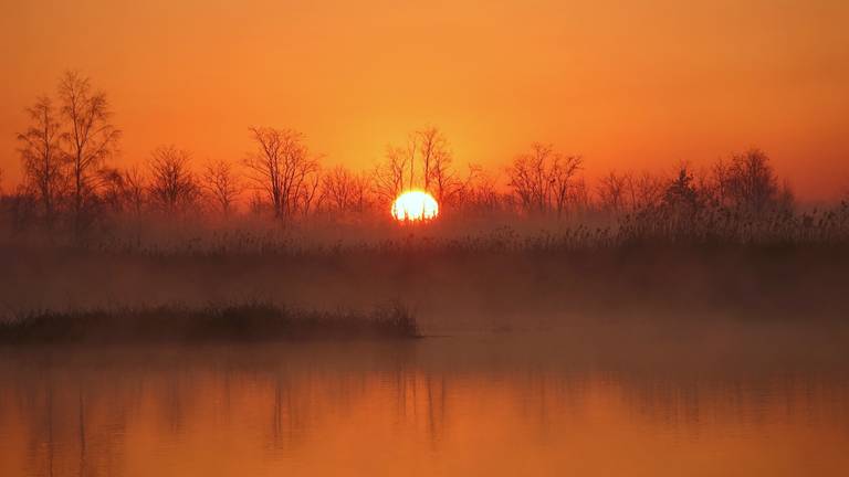 Omroep Brabant