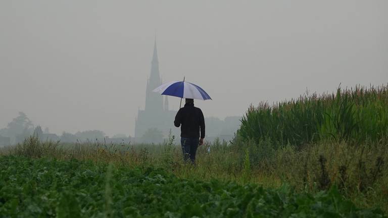 Het gaat de hele dag hard regenen dinsdag (Foto: Ben Saanen)