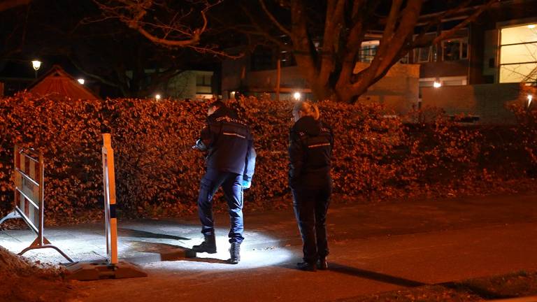 Jongen zwaargewond bij schietpartij in park in Den Bosch