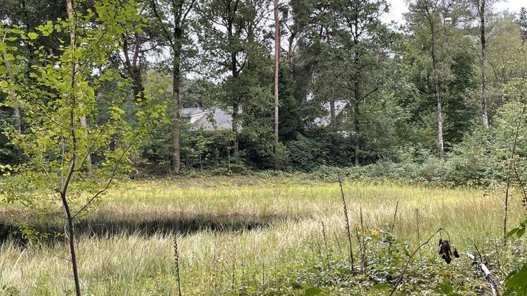 Het huis waar het slachtoffer werd gevonden, ligt in de bossen tussen Lieshout en Nuenen (foto: Hans Janssen).
