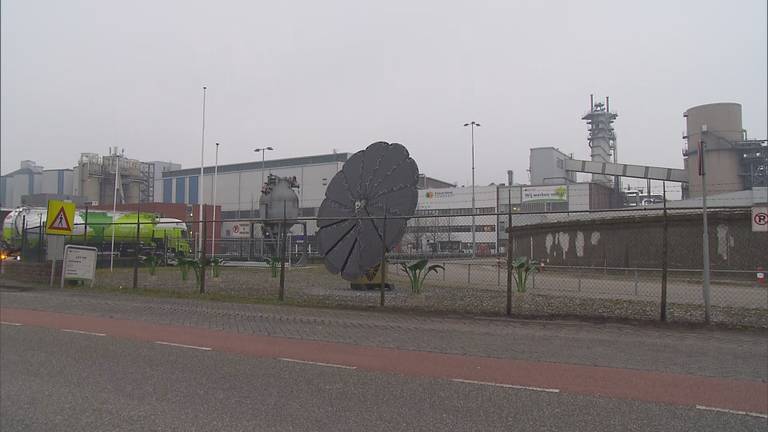 De voorkant van de Cosun fabriek (foto: Omroep Brabant).