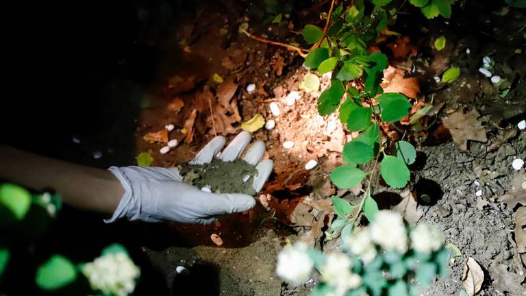 Er lagen grote hoeveelheden medicijnen in de struiken in Cuijk (foto: SK-Media).