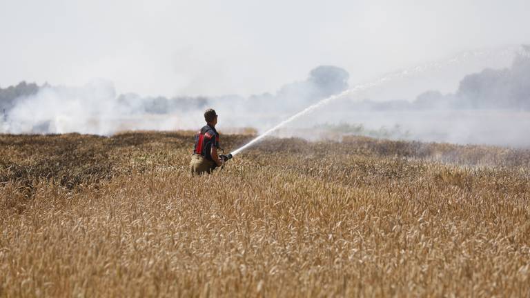 Akker met graan gaat in vlammen op: brandweer krijgt hulp van omstanders