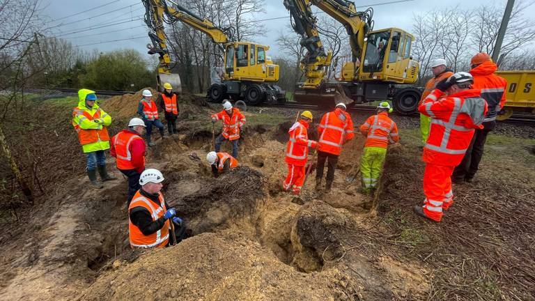 Dassenwerkgroep Brabant steunt wens ProRail in te grijpen bij overlast (Foto: ProRail)