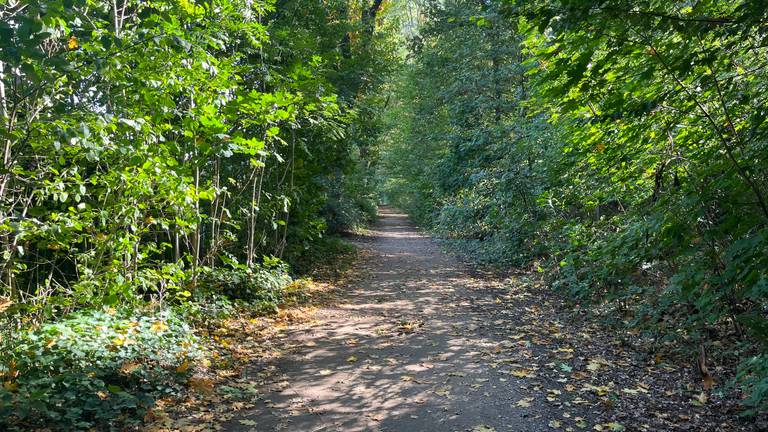 De plek waar de voorbijgangers belaagd werden (foto: Omroep Brabant) 