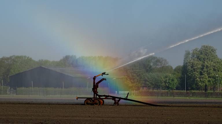 De Brabantse boeren hebben in de afgelopen droge jaren veel meer grondwater gebruikt dan werd verwacht. Foto: Willem van Nunen