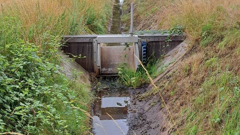 Water mag ook niet langer vasthouden worden door het waterpeil kunstmatig te verhogen (Foto: Waterschap Aa en Maas).