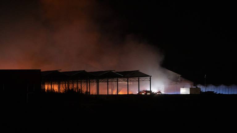 Het brandende kassencomplex (foto: Christian Traets/SQ Vision).