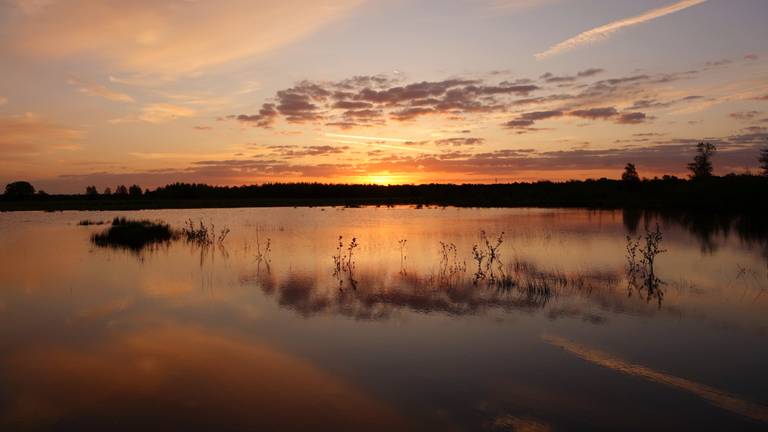 Omroep Brabant