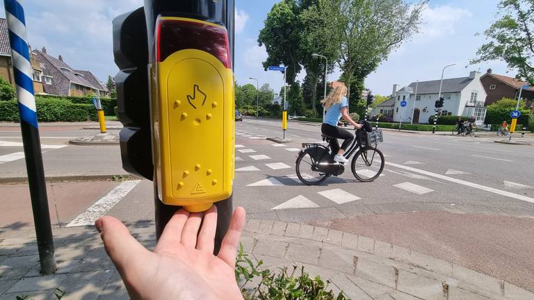 De 'slimme' drukknop op de kruising Academielaan-Bredaseweg (foto: Collin Beijk)