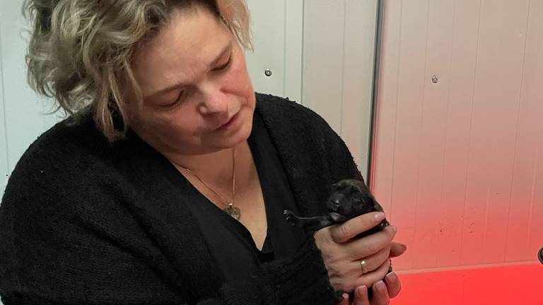 Chantal met een van de puppy's toen ze net geboren waren (foto: Omroep Brabant). 