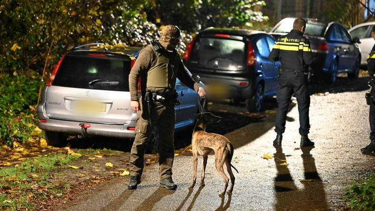 Natuurinspecteurs met een in beslag genomen lange hond (foto: SQ Vision)