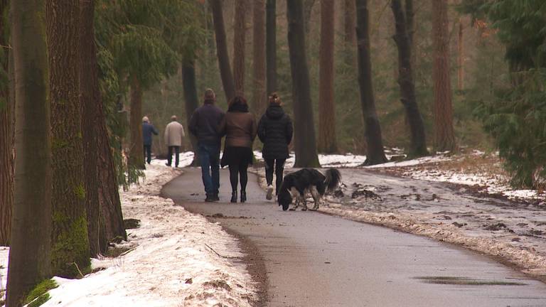 De drukte in de bossen is gevaarlijk voor de dieren.