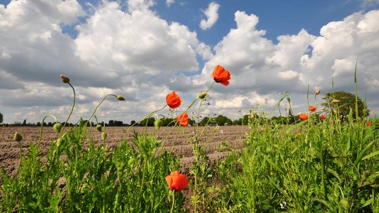 Natuurvriendelijke landbouw