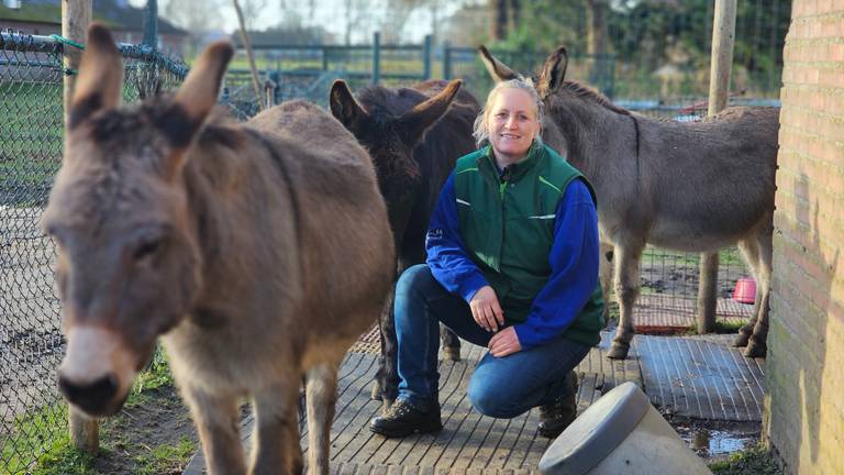 Lenneke Barten met haar ezels.