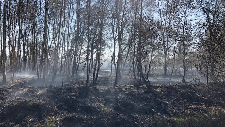 Omroep Brabant