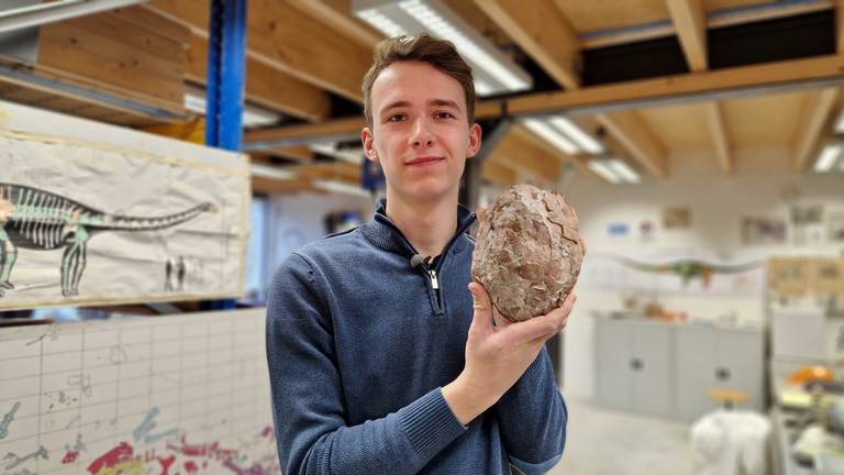 Il curatore Martin De Rijk con uova di dinosauro. 