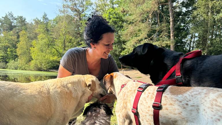 Angelique van de Laak, samen met een aantal door ACE|SHIN geredde honden uit Spanje (foto: Niek de Bruijn).