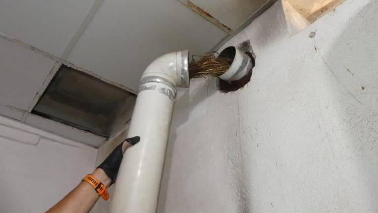 Een vogelnestje in de afvoer van de gasboiler. (foto: Policia Nacional)