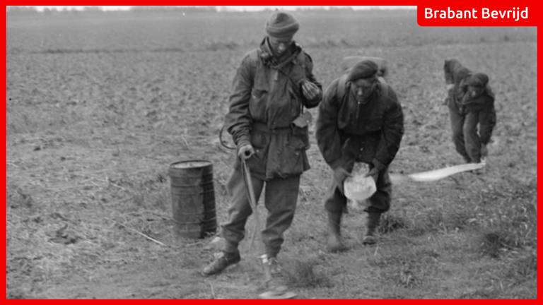Britse militairen in de Biesbosch zoeken mijnen (foto: IWM).