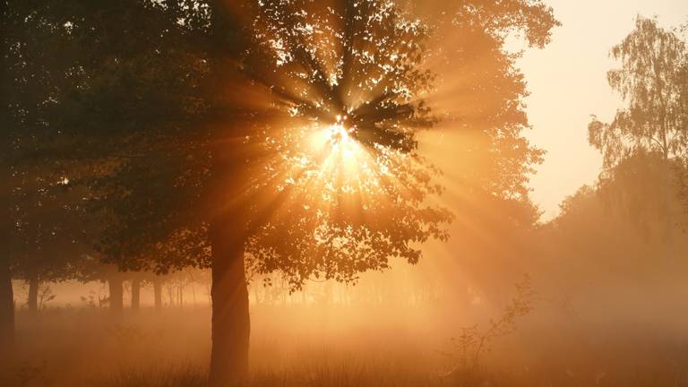 De dag begint mooi in Brabant (foto: Ben Saanen).