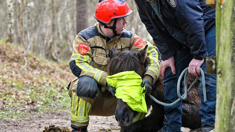 Paard met been klem in wildrooster, brandweer schiet te hulp