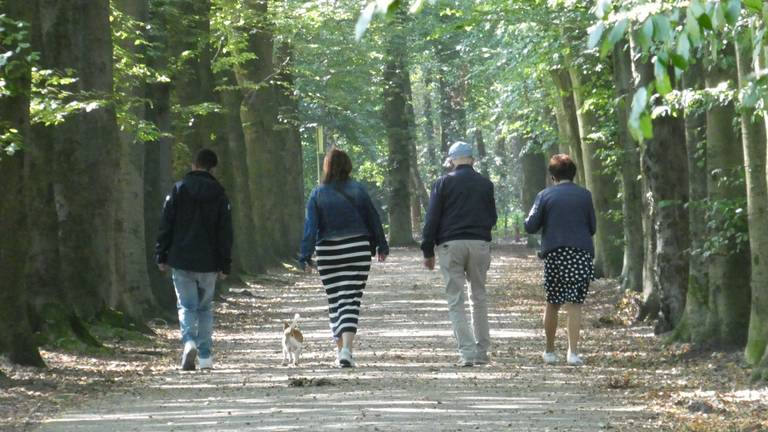 Het is nu nog prima weer om te wandelen (foto: Martha Kivits).