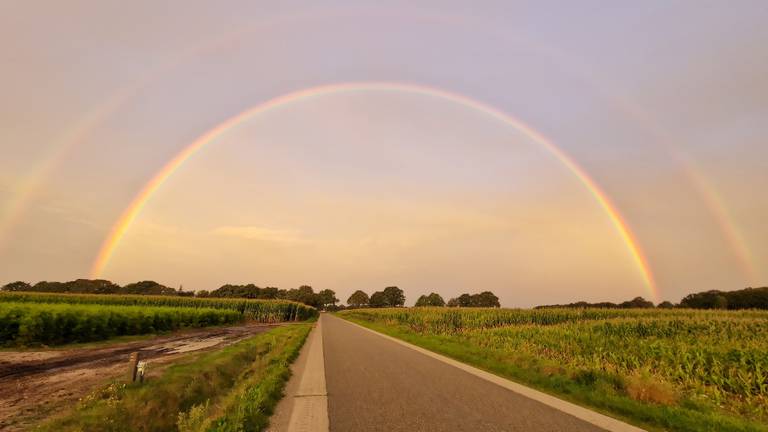 Omroep Brabant