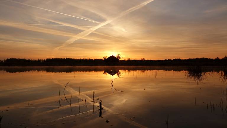 Omroep Brabant