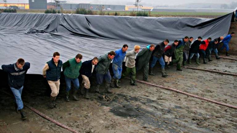 Veel handen gezocht voor een zware klus (foto Schneider Youngplants).