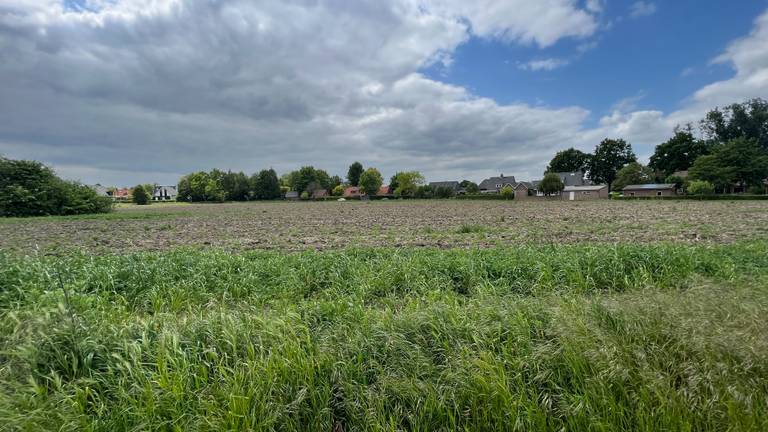 De plek in Rosmalen waar het asielzoekerscentrum eigenlijk zou komen (foto: Megan Hanegraaf).