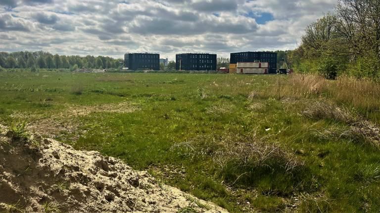 Het beoogde terrein aan de Schansdijk in Zevenbergen. (foto: Raoul Cartens)