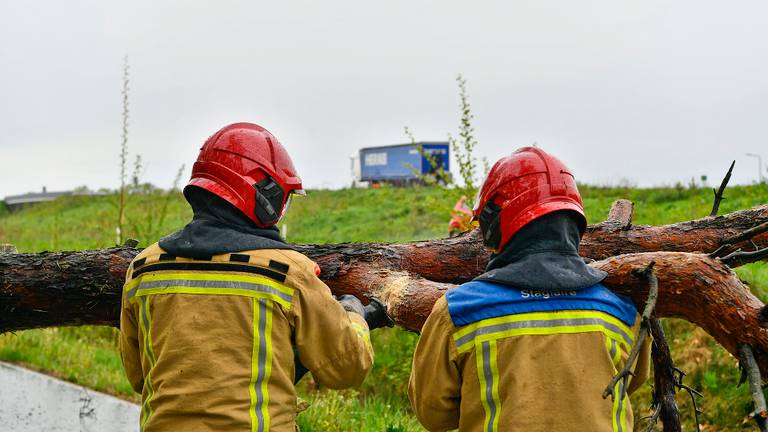 Twee bomen omgewaaid in Valkenswaard (foto: Rico Vogels/SQ Vision).