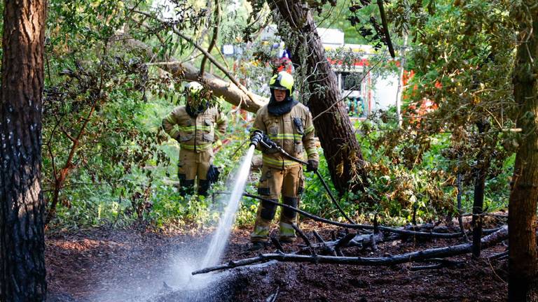 Weer natuurbrand, brandweer moet aan de slag in bosgebied in Zeeland
