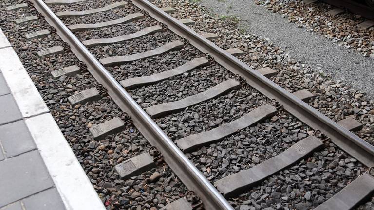 Over de rails tussen Breda en Tilburg Universiteit rijden voorlopig geen treinen (foto: Karin Kamp).