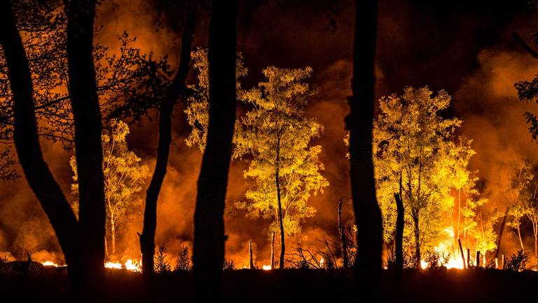 De Peel in brand (foto: Rob Engelaar).