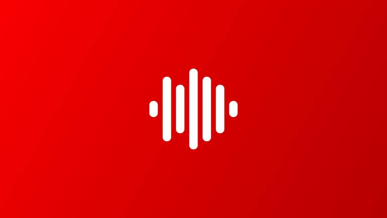 Politie over de verdachte die in Breda drie politieauto's zou hebben beschoten