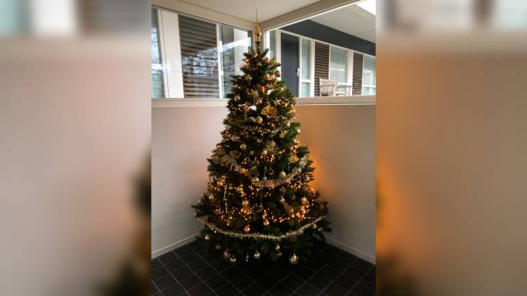 Politiek Vernietigen omringen Kerstboom gestolen uit flat: 'Spoor van ballen en slingers bleef achter' -  Omroep Brabant