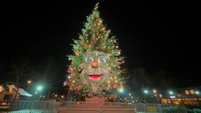 De enorme kerstboom in Prinsenbeek (foto: Remco Beekers).