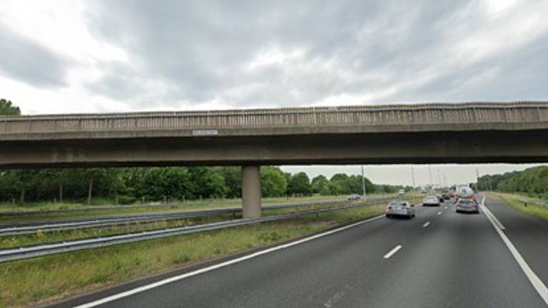 Het viaduct bij Molenschot. (Foto: Google Maps)