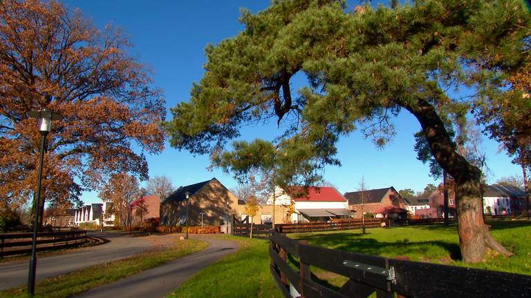 Kloostervelden wint de stijlprijs en El Noor krijgt de meeste publieksstemmen