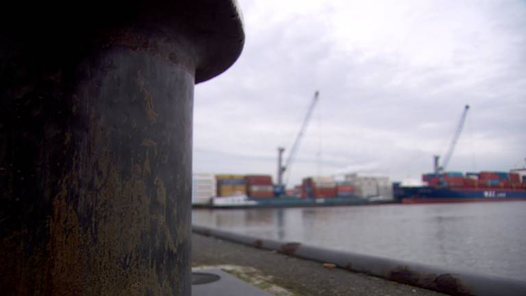 Zeehaven Moerdijk steeds vaker poort naar Engeland voor verstekelingen