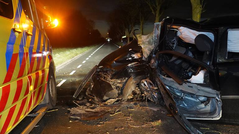 Auto botst vol op boom in Rijen